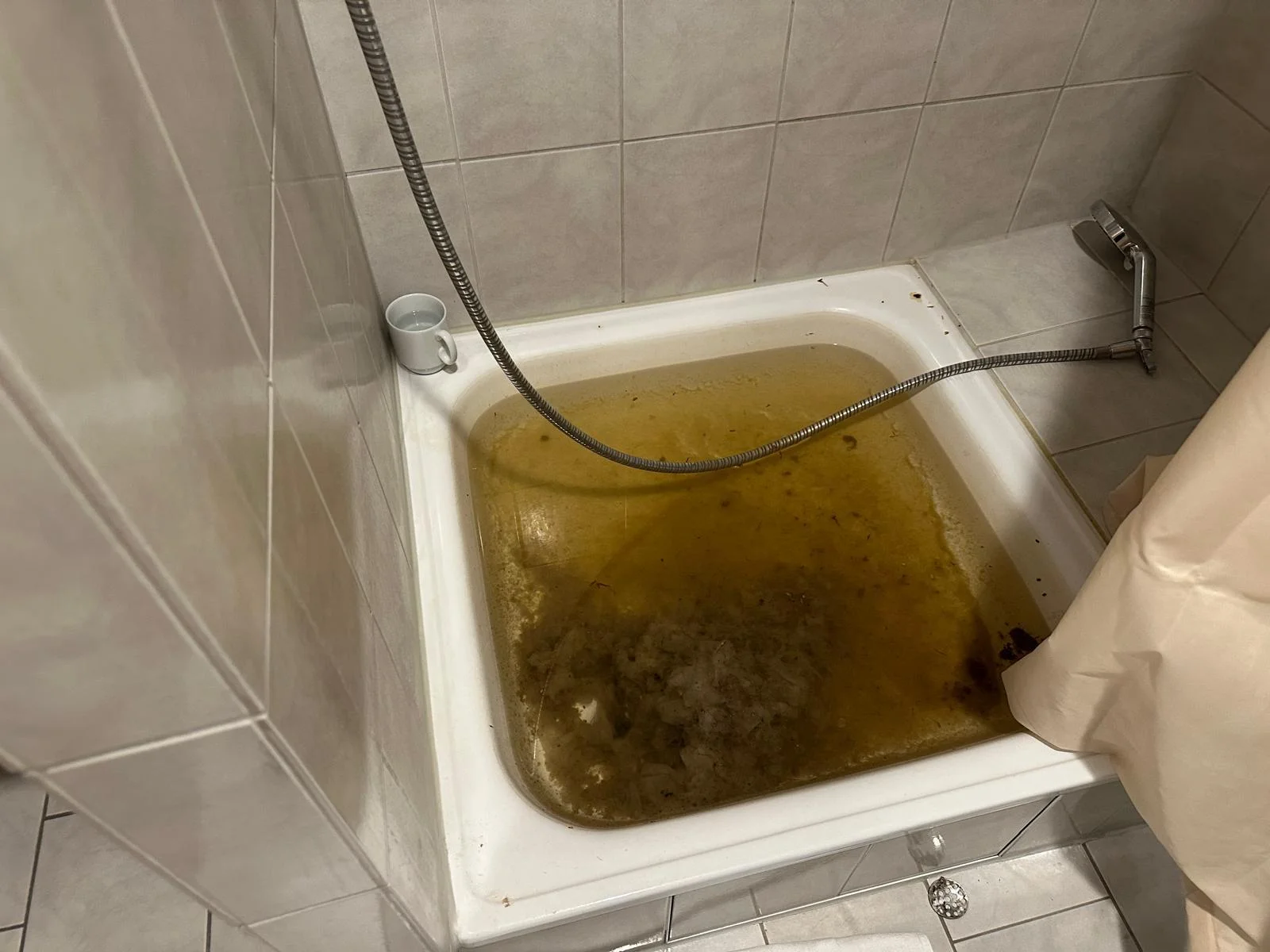 Abflussreinigung Rüdesheim am Rhein Dusche verstopft