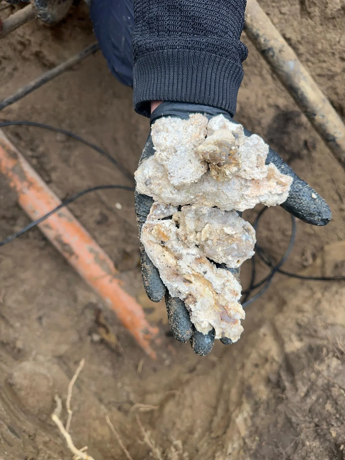 Kanalreinigung Nackenheim Kalkablagerungen Wurzeln