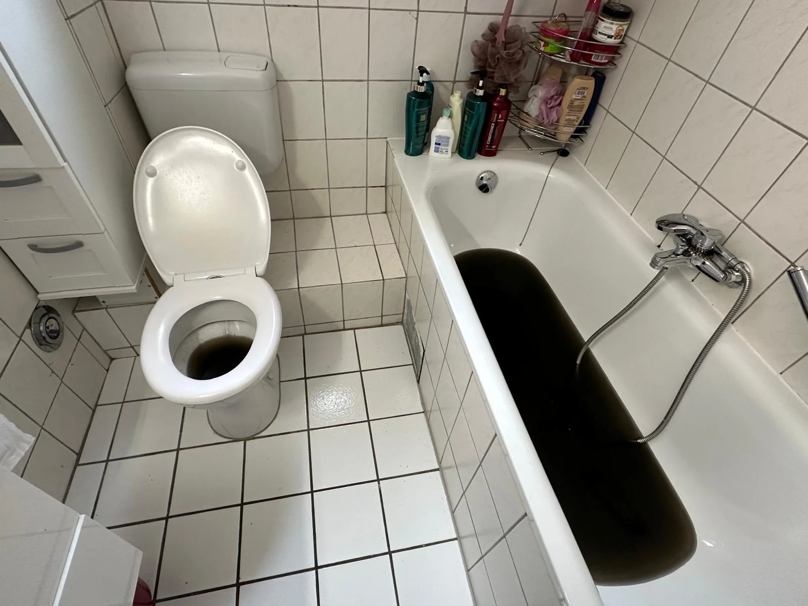 Rohrreinigung Notdienst Rüdesheim am Rhein Rückstau WC Badewanne