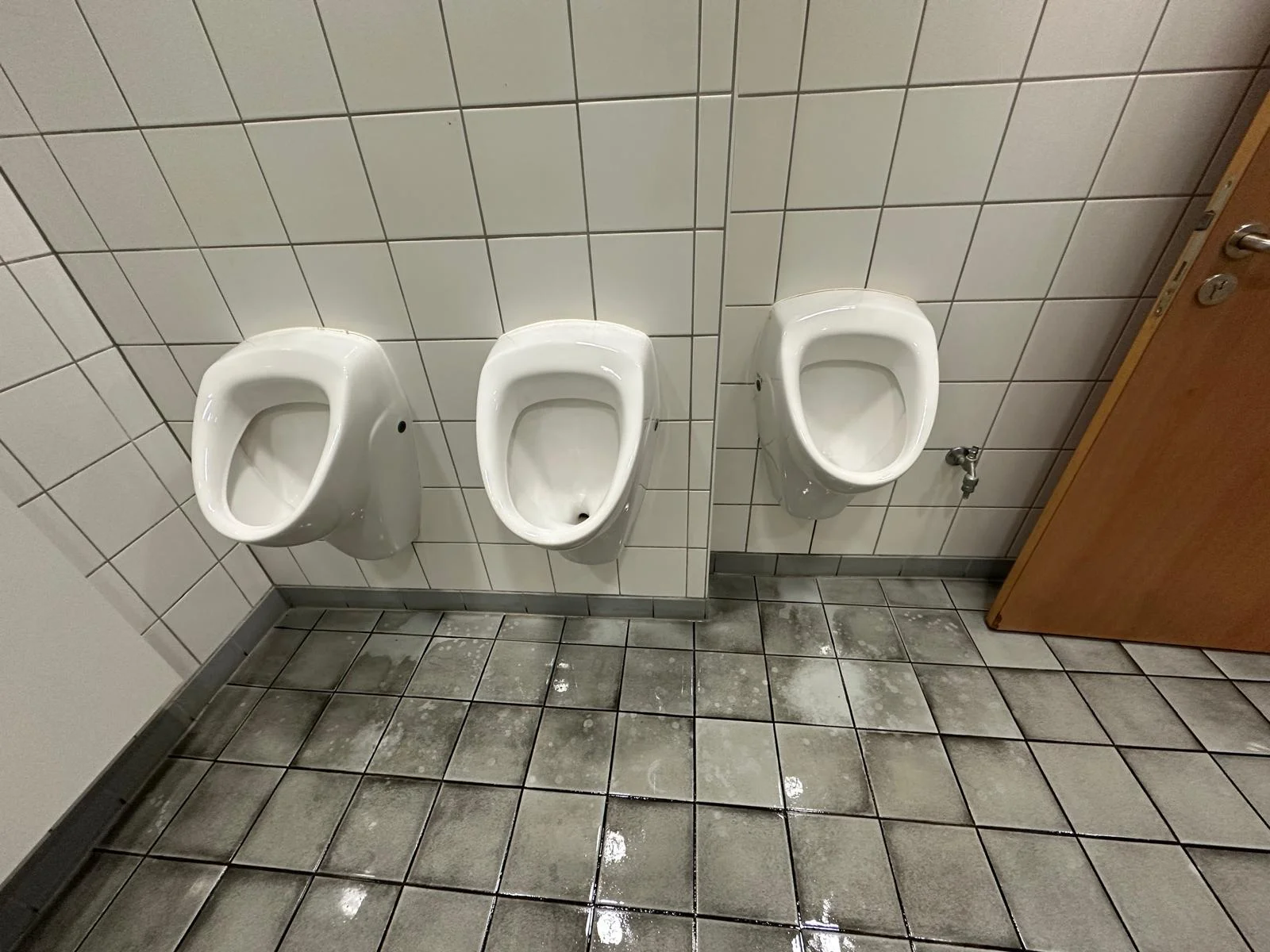Rohrreinigung Walluf Toilette verstopft Spiralreinigung Soforteinsatz